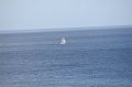 Cruise 2011 220